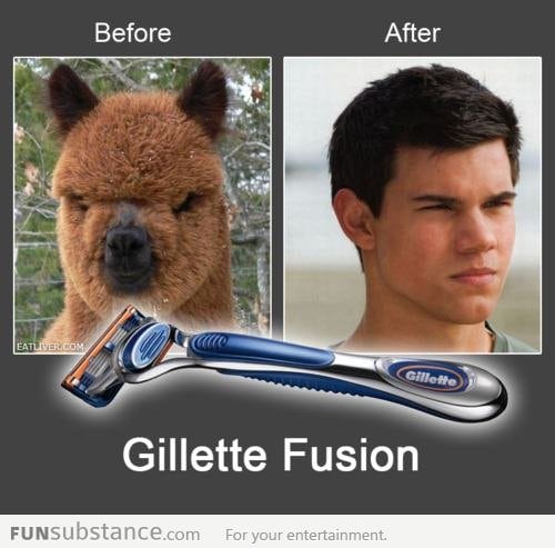 The Power Of Gillete Fusion