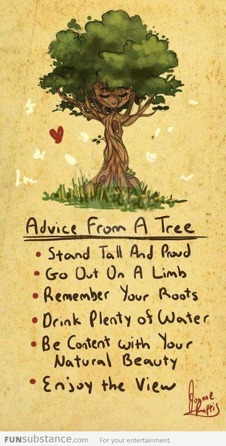 Live life like a tree
