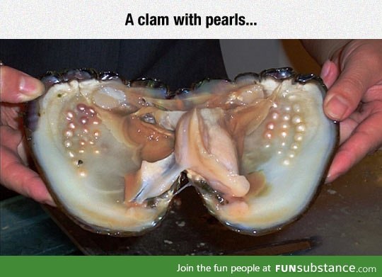 Where pearls come from