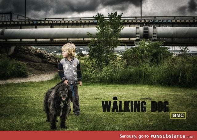 The walking dog