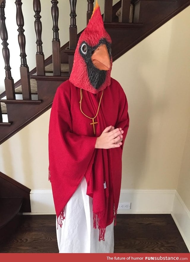 A "cardinal cardinal". Get it?