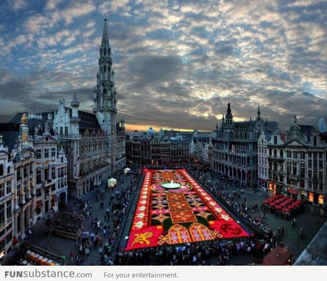 Largest carpet of flowers in the world Brussels, Belgium