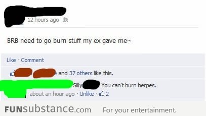 You can't burn herpes