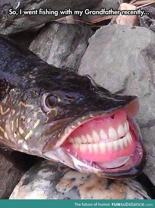Fish teeth