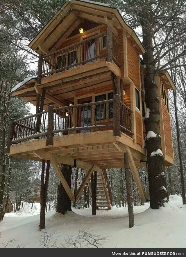 That is a TREE house