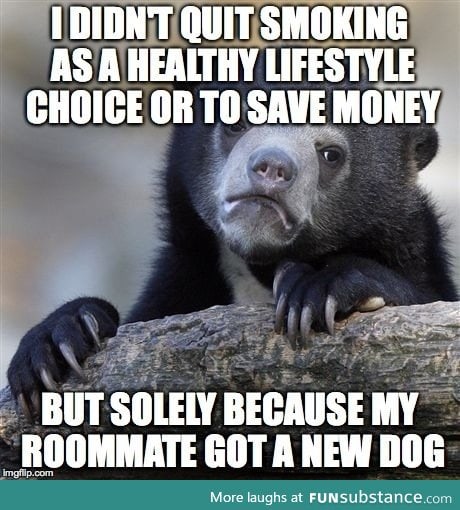 Dog>roomate