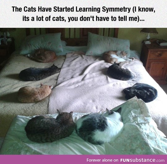 That's A Lot Of Cats