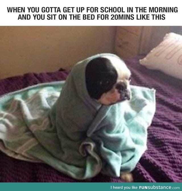 me this morning.