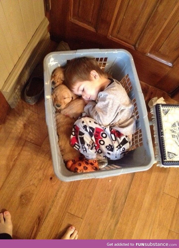 This laundry basket snuggle session that took adorable to the next level