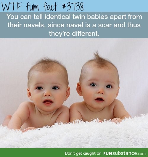 How to tell twins apart