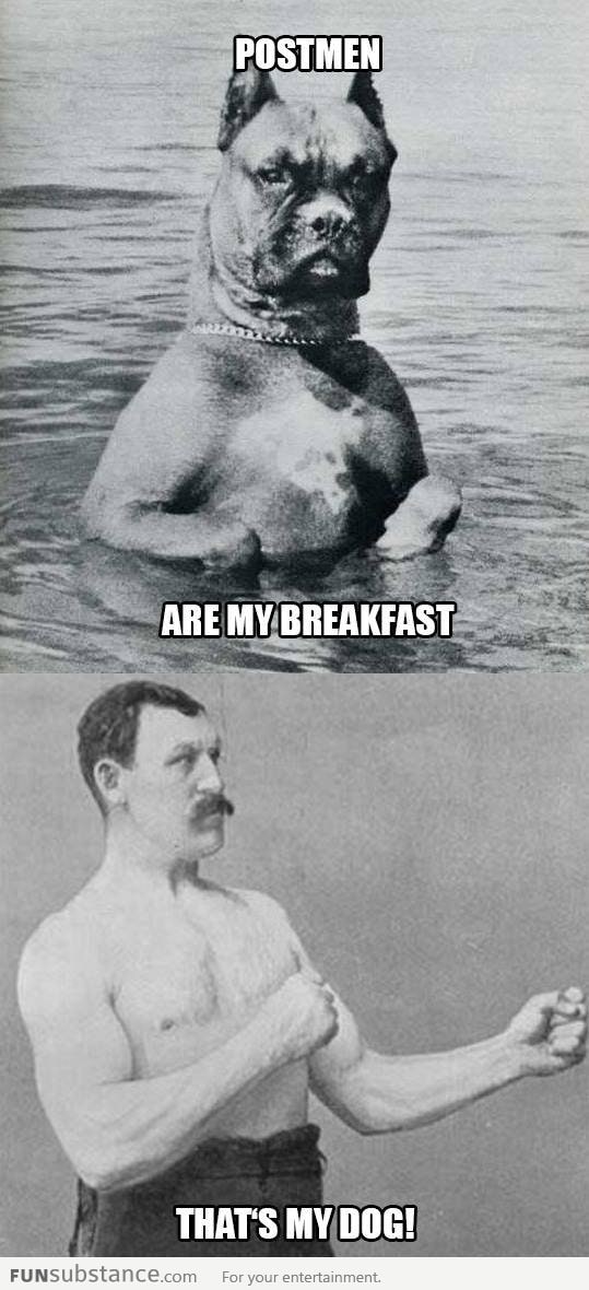 Overly Manly Dog