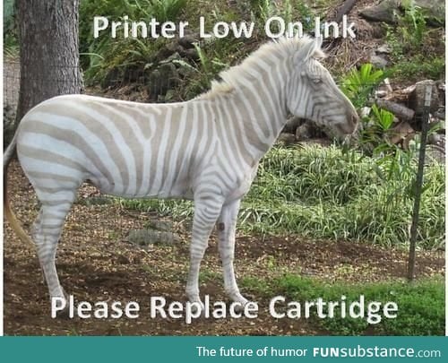 Low on ink, please replace cartridge!