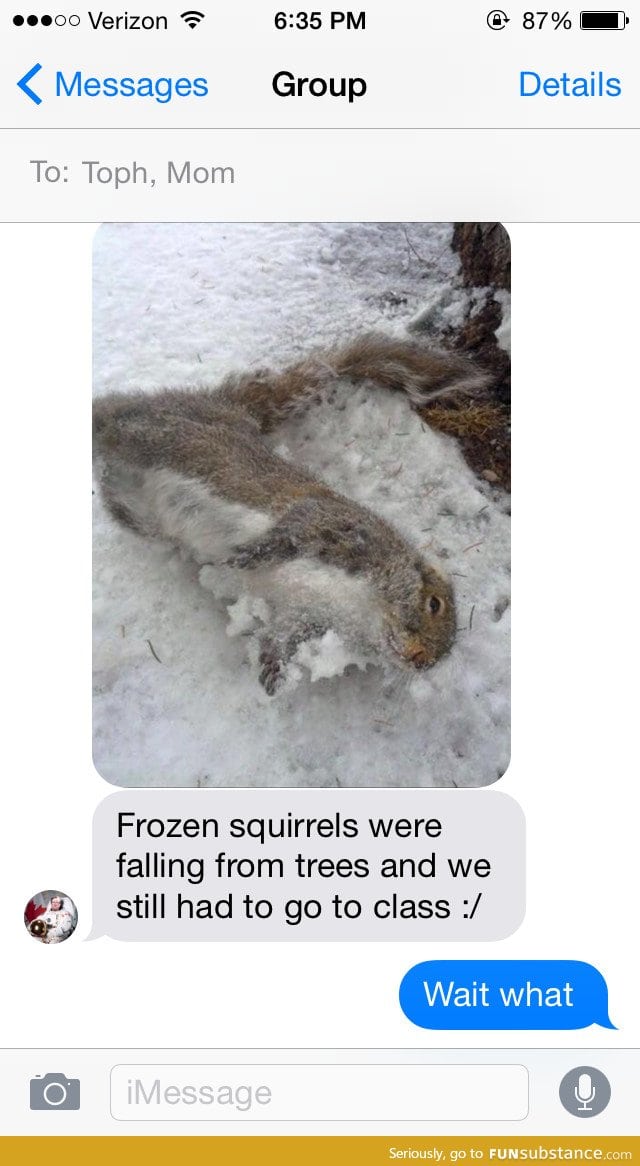 Squirrelsicles