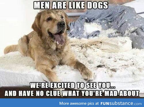 Men & dogs