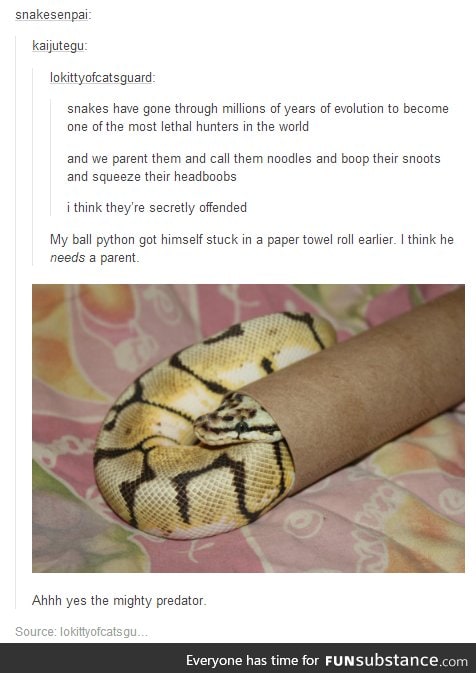 Fear me for I am the great and amazing snake!!