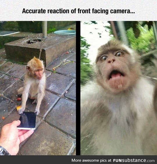 Front facing camera reaction