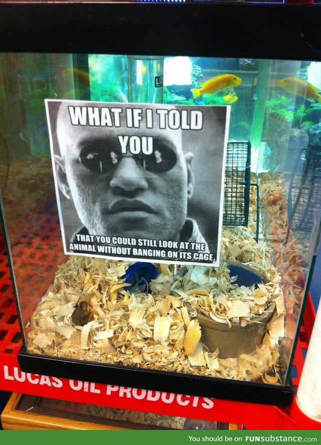 Local Pet Store is sick of your shit