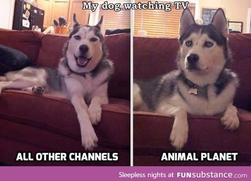 Watching tv!