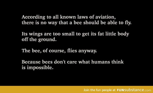 What even was the Bee Movie