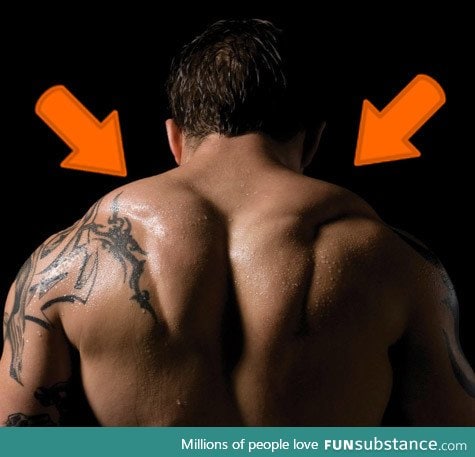 Tom Hardy's back, after his weight gain for "Warrior". Every day was traps day