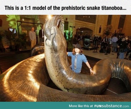 Giant prehistoric snake