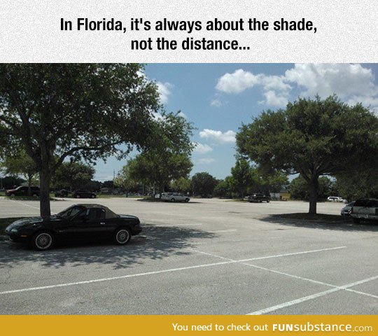 All about the shade