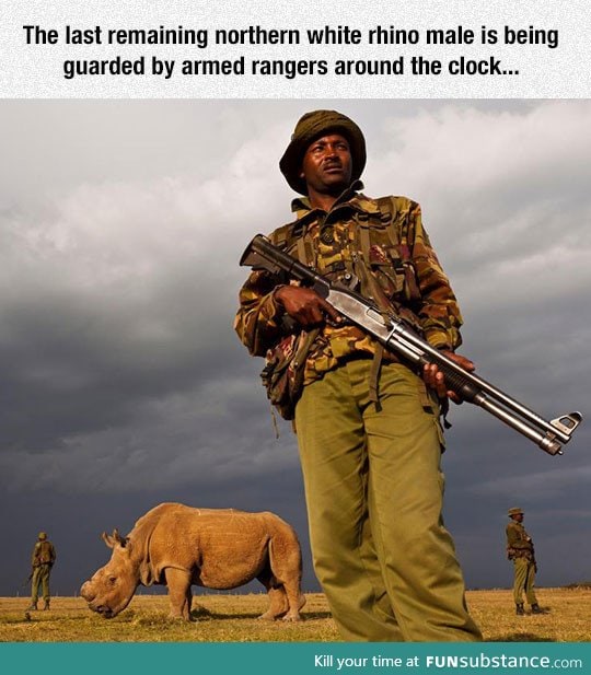 Fighting heavily armed poachers is not an easy task