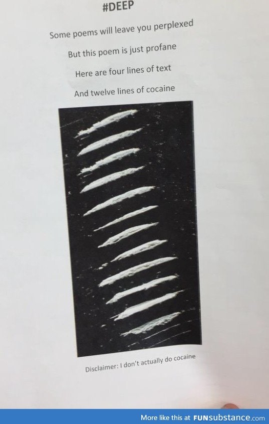 The teacher asked for a 16 line poem, this is what this kid turned in