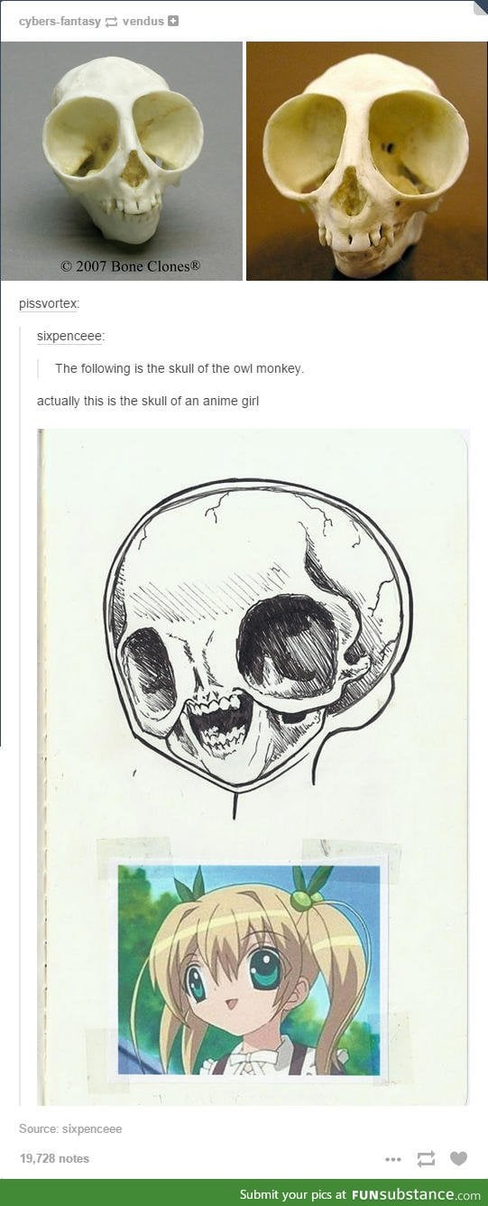 Anime skull