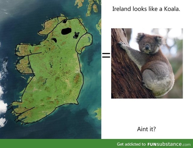 Ireland looks like a Koala