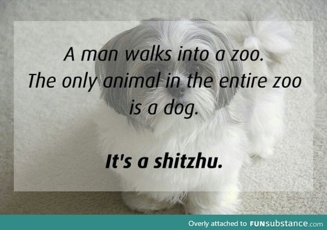 The only animal