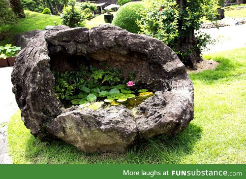 Swamp in a boulder