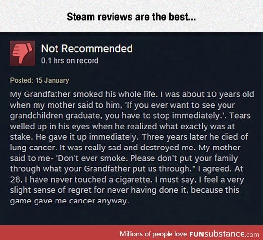 Steam reviews can be entertaining sometimes