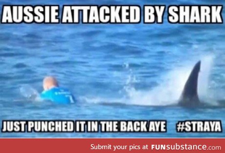 Aussie attacked by shark