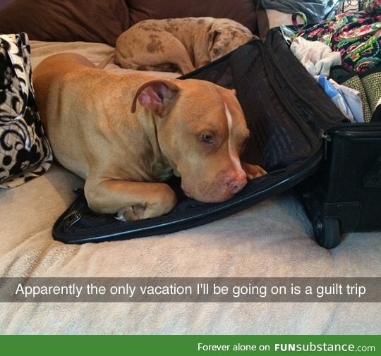 Guilt trip