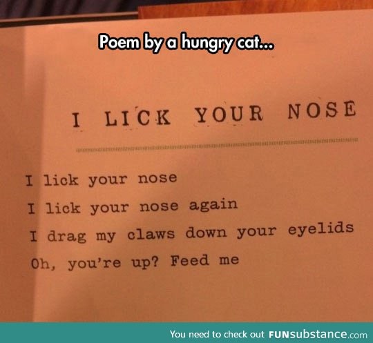 A hungry cat poem