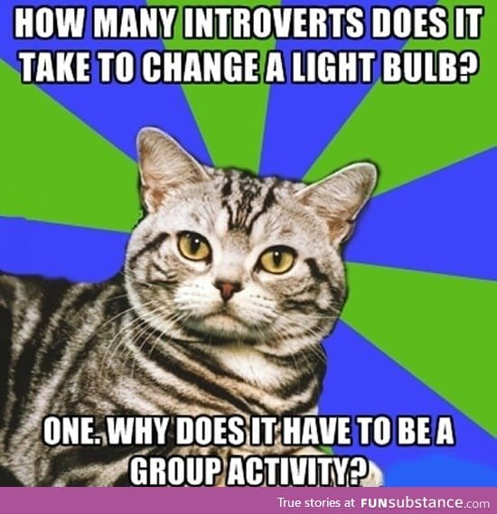 How many introverts