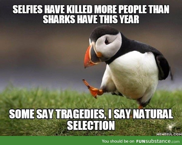 Selfies have killed more people than sharks have this year