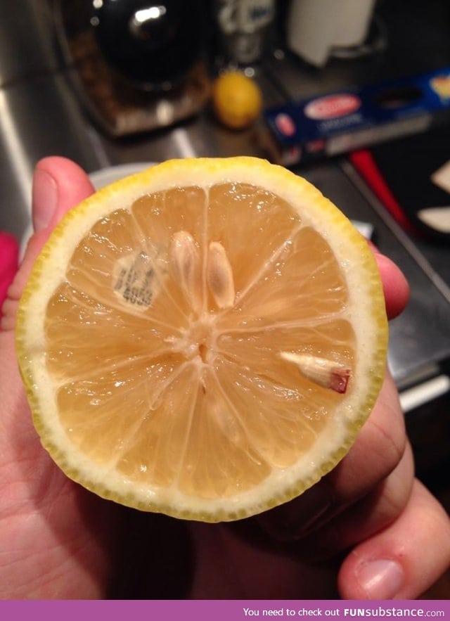 "Cut open a lemon and found a sticker inside the pulp"