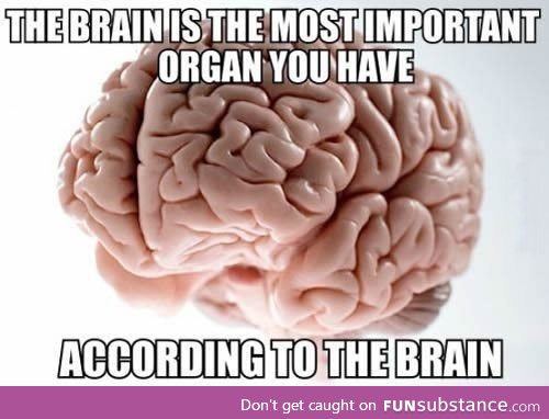 Typical, brain... Just typical