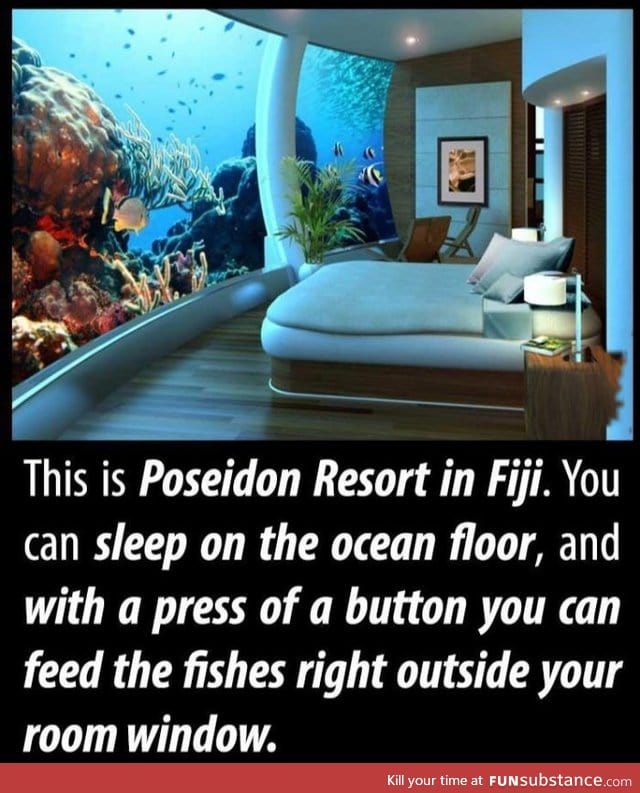 Sleeping with the fishes