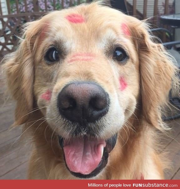 Pup got some smooches... Aww