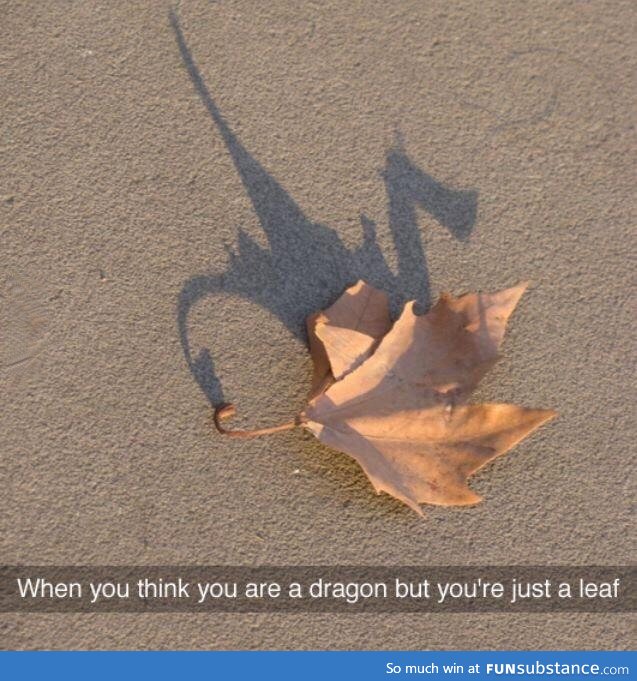 Beleaf in yourself