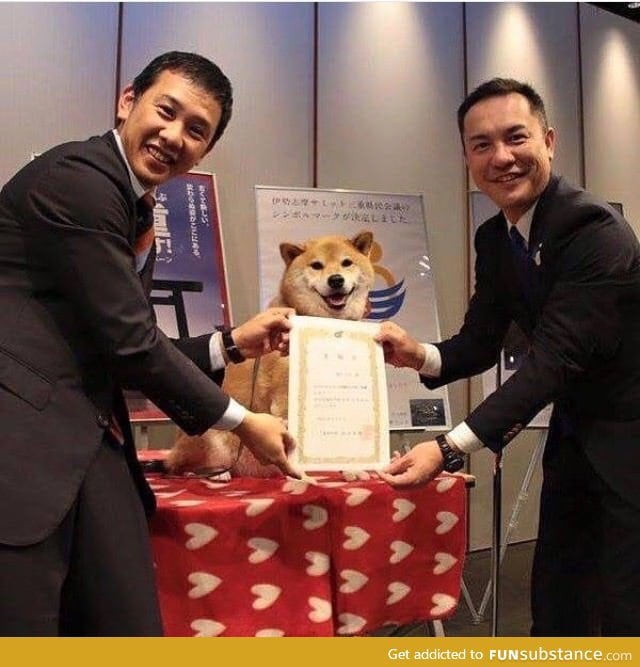 This doge got an award for being a doge