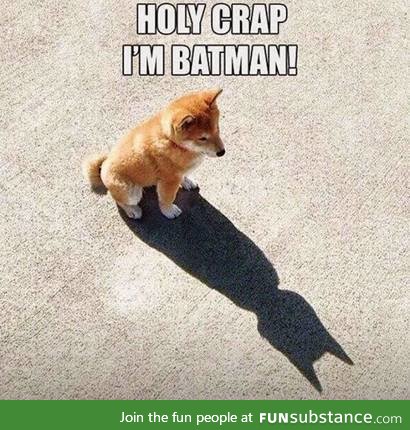 Bat-Dog!