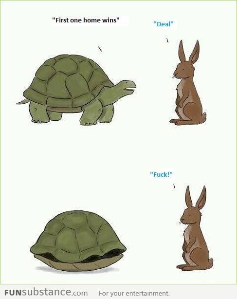 This time the tortoise wins