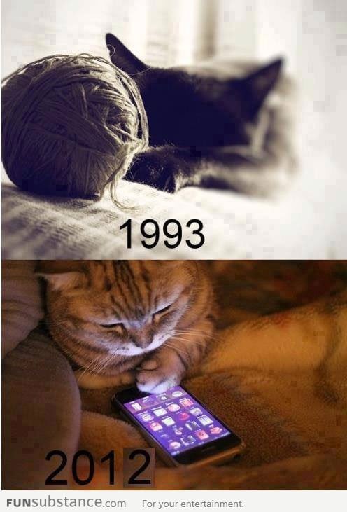 Cats then and now