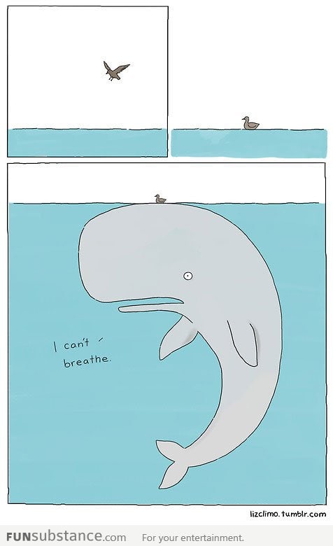 Fail Whale