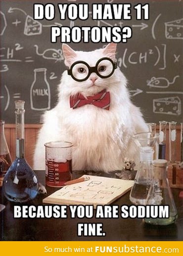 Chemistry cat knows how to get the ladies