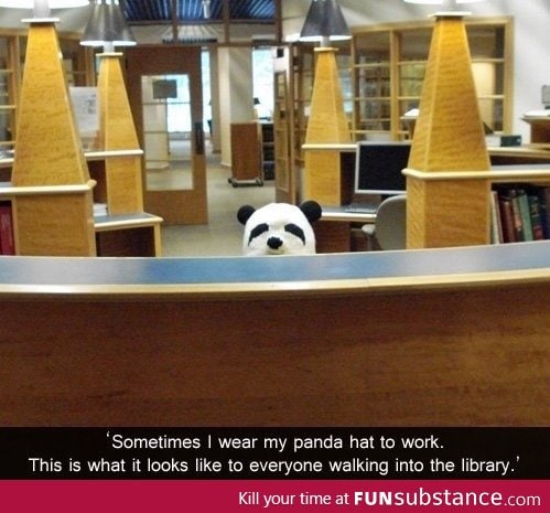 Panda librarian